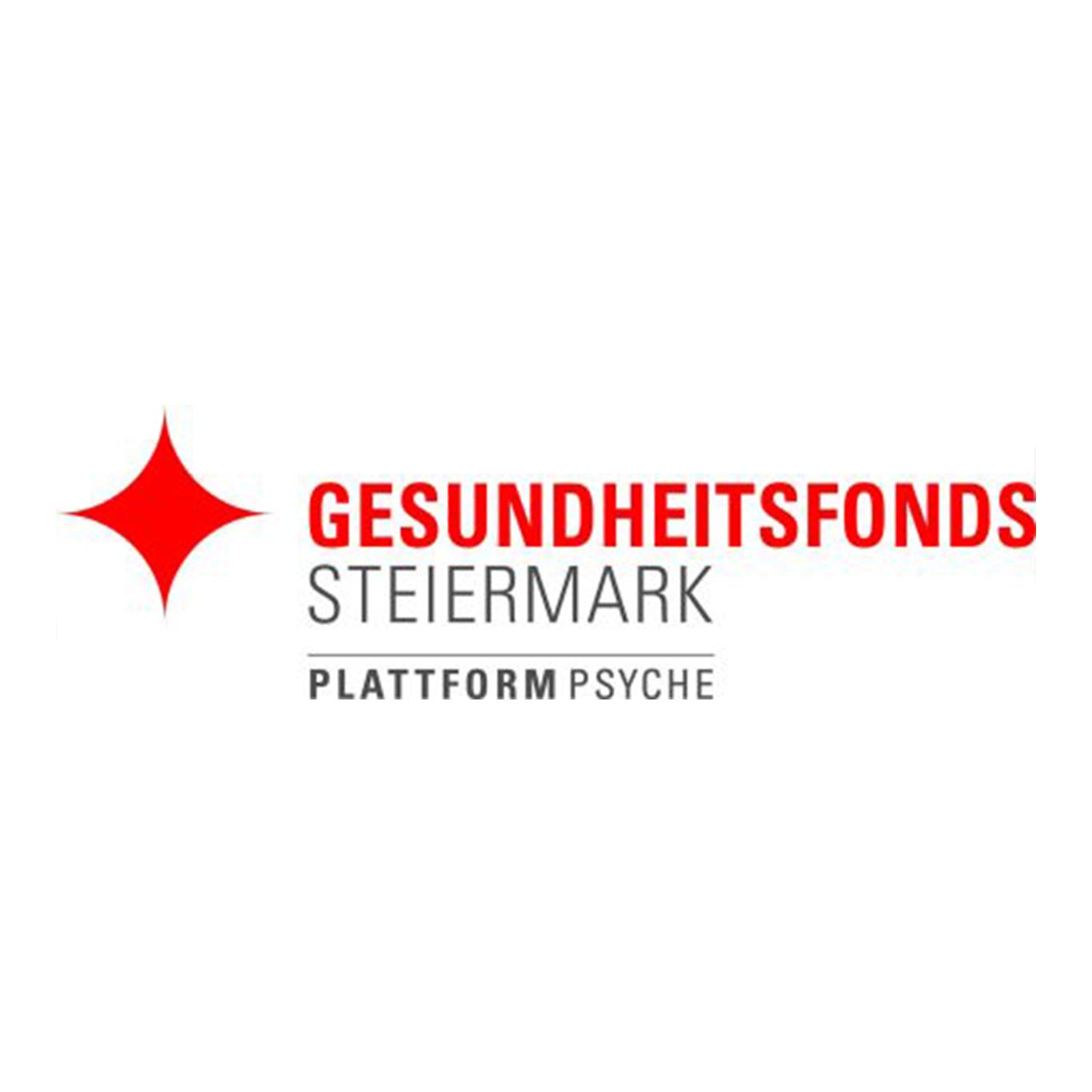gesundheitsfondsstmklogo quatrat